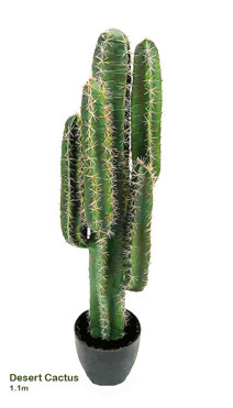 Cactii- Desert Cactus 1.1m