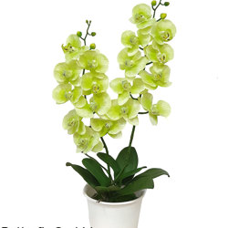 Artificial Butterfly Orchid Bowls- green - artificial plants, flowers & trees - image 7