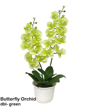 Artificial Butterfly Orchid Bowls- green