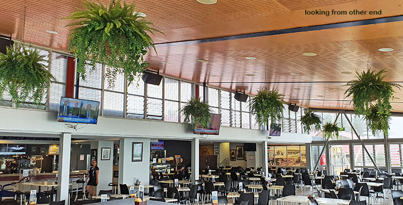 timber ceiling backdrop really highlights lush green hanging-baskets in Surf Club