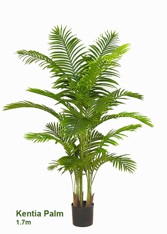 Articial Plants - Kentia Palms 1.7m