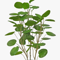 Money Plant 80cm - artificial plants, flowers & trees - image 10