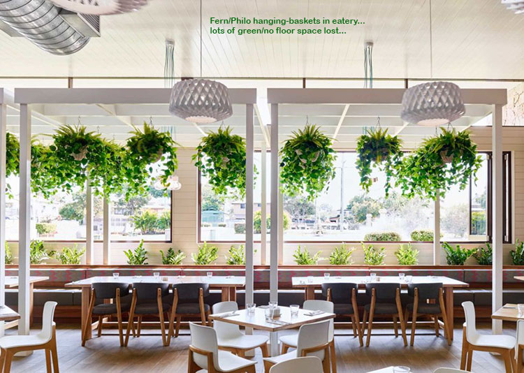 Raised Planter & Green-Wall in Club Foyer image 9