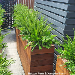 Xanadu Bush UV-treated - artificial plants, flowers & trees - image 2