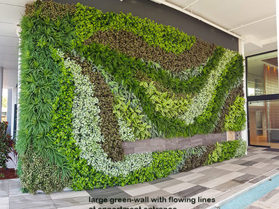Large feature Green-Wall in apartment entry courtyard...