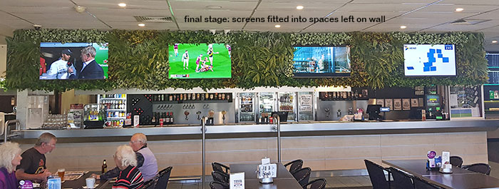 Artificial Green Walls with multi-TV screens in Sports Bar... image 5