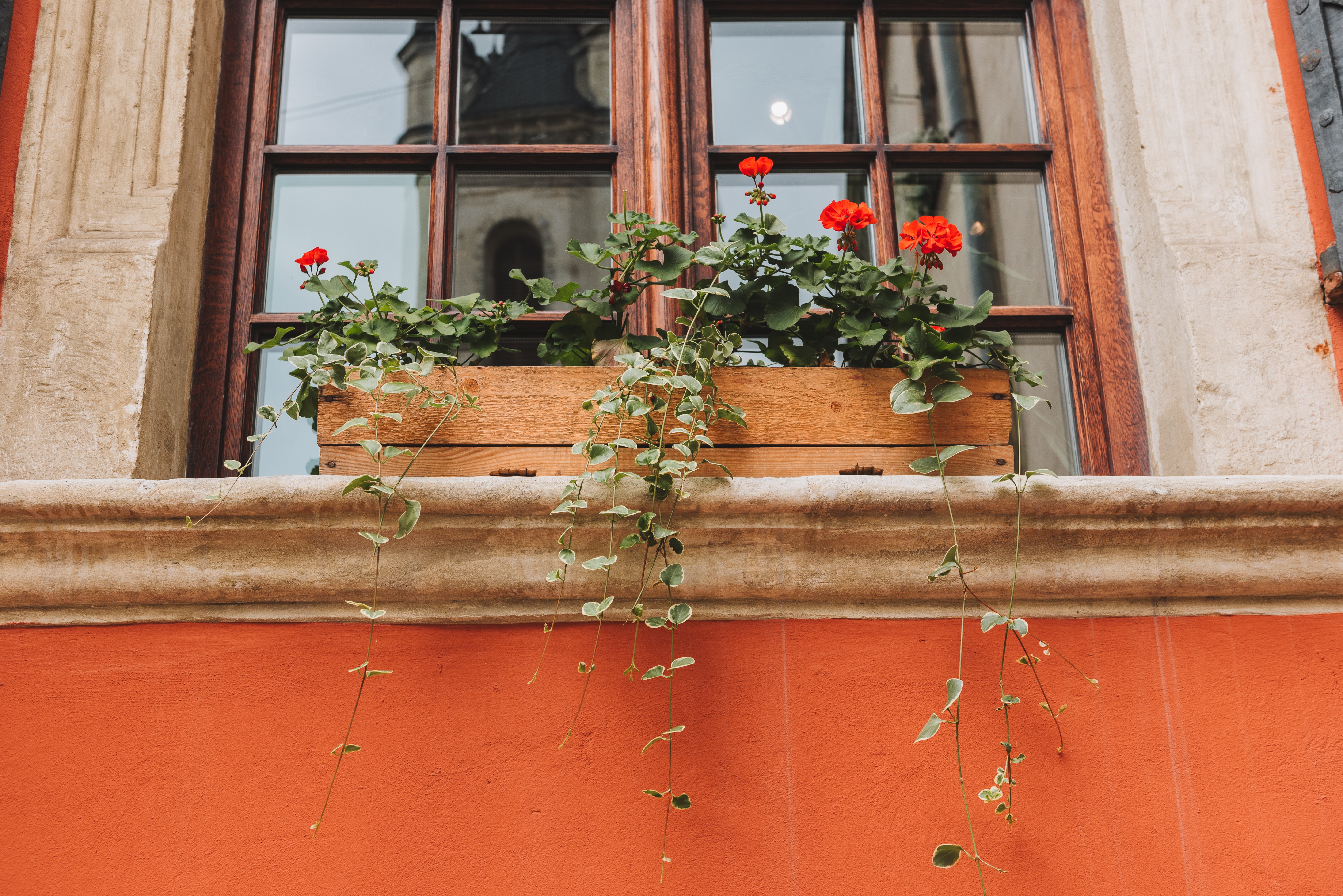 wooden planter