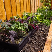 20 Best Small Garden Ideas