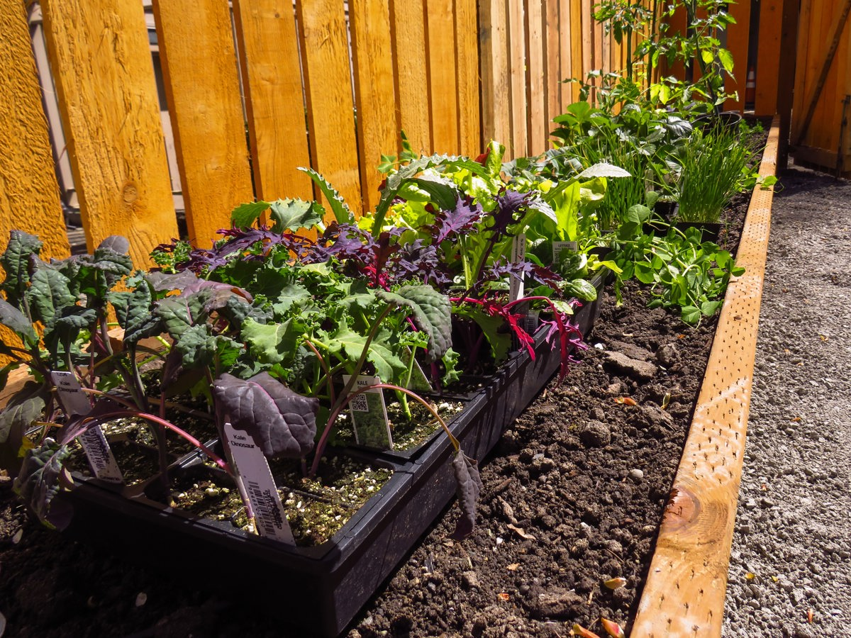20 Best Small Garden Ideas