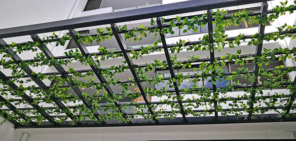 wonderful artificial plants hanging
