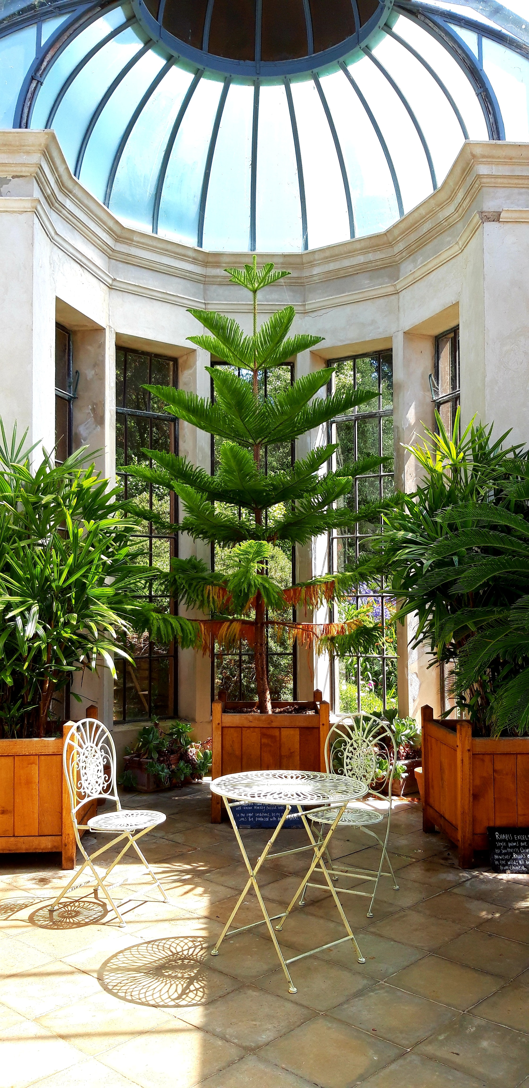artificial plants as focal point