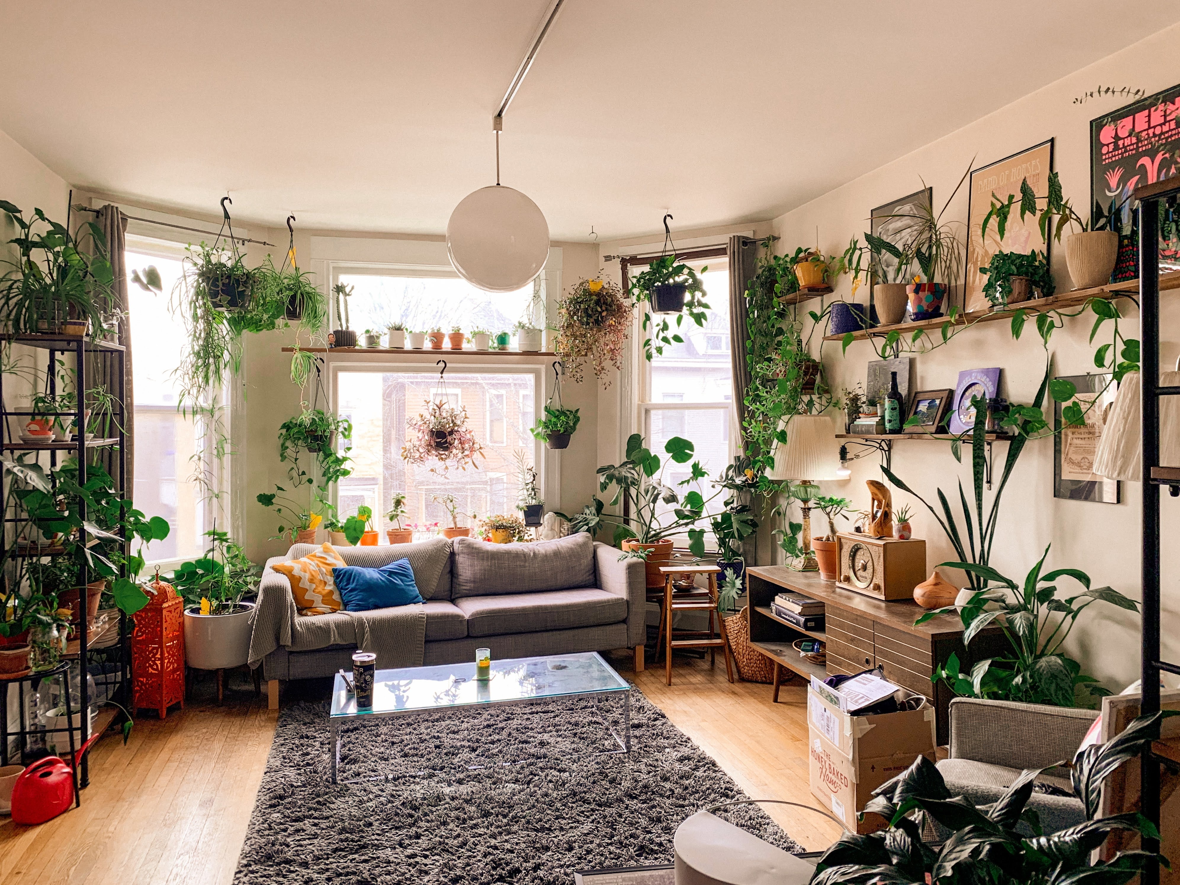 artificial plants soften hard edges in your living room