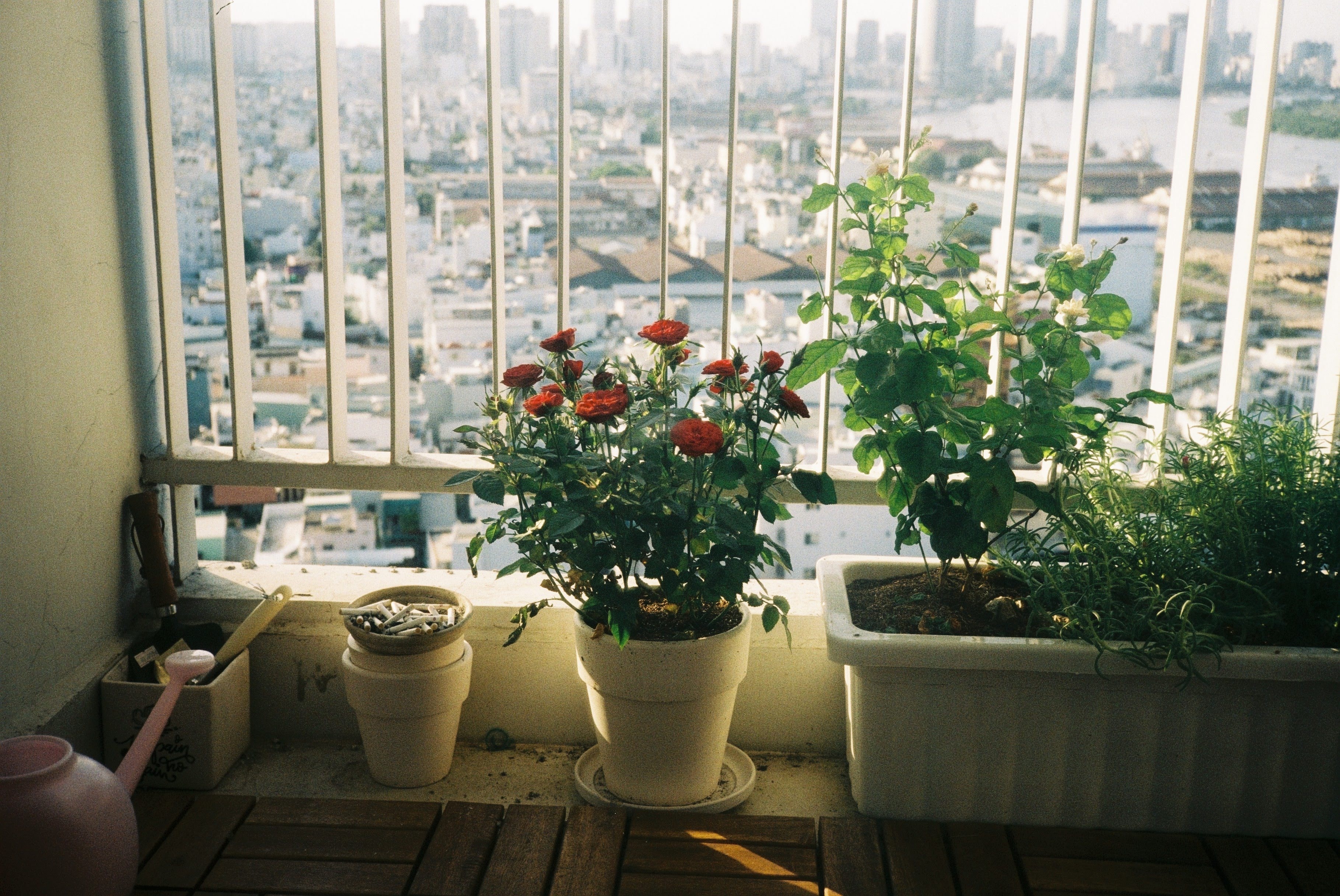 Balcony Garden 1