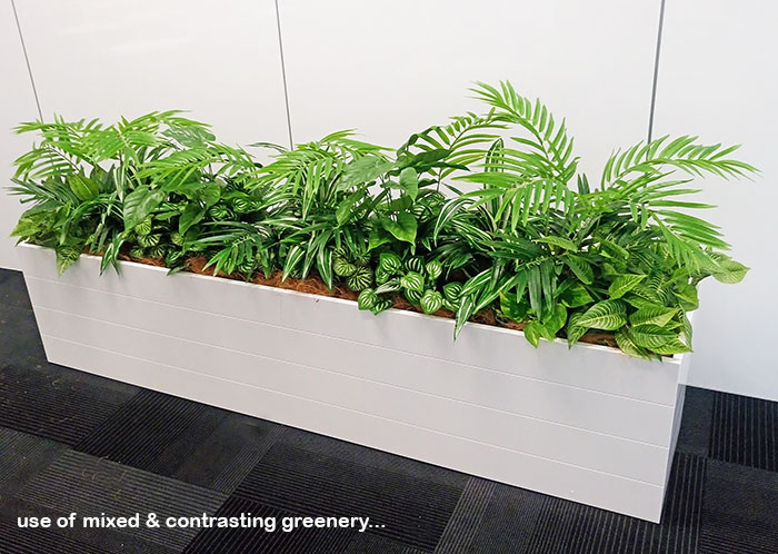 mixed and contrasting greenery in planters