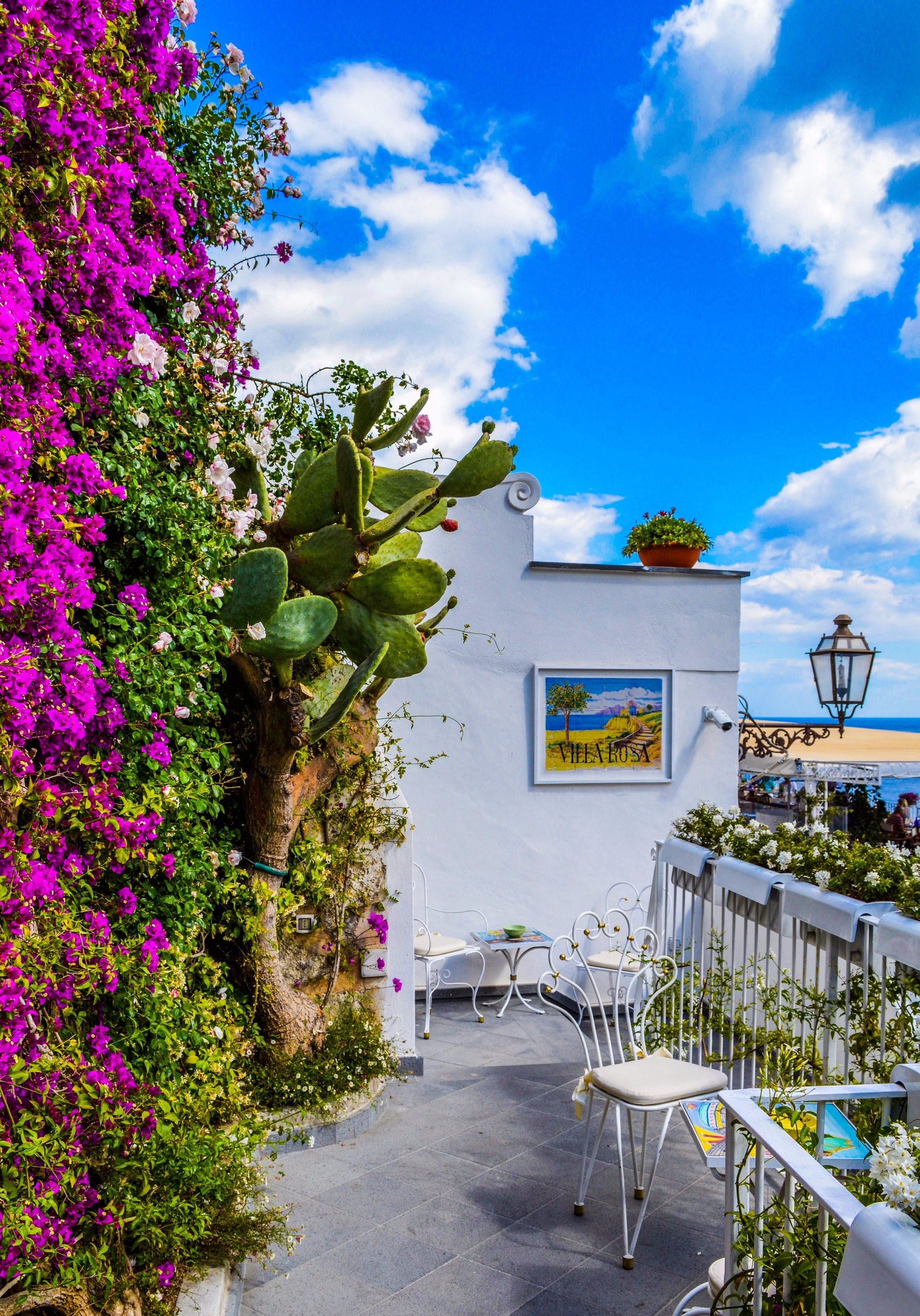 Balcony Garden 1