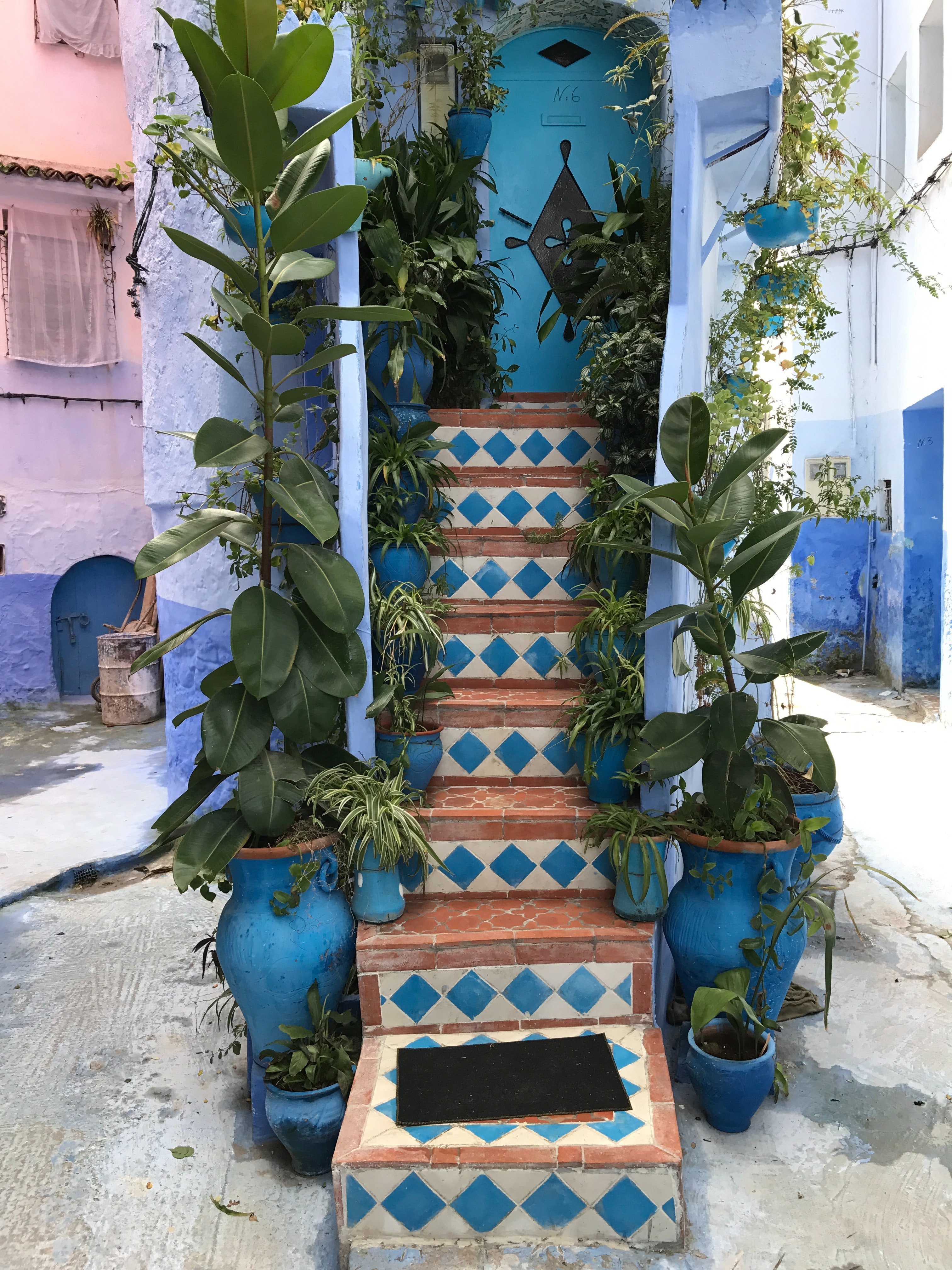 garden on steps