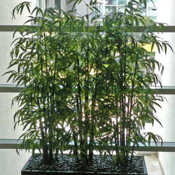 Trough Planters- with Bamboos 1.3m tall - artificial plants, flowers & trees - image 1