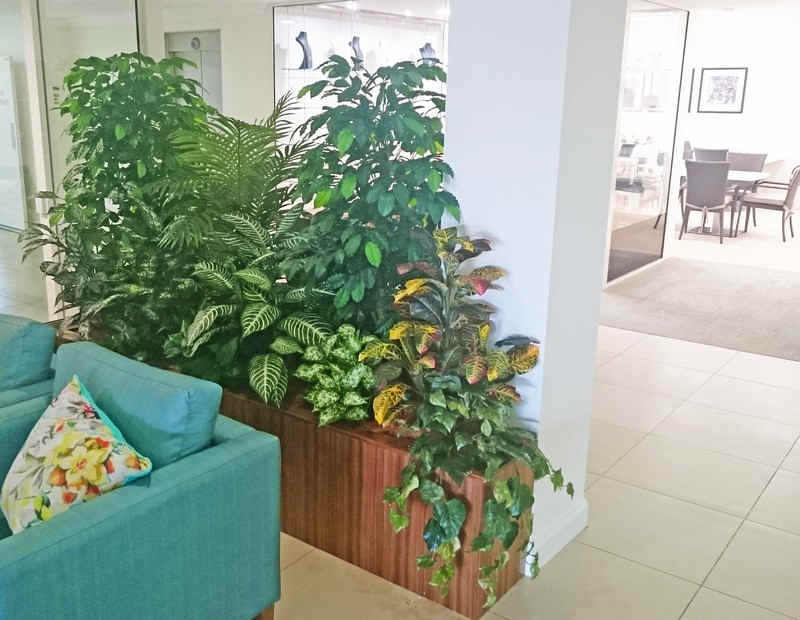partition planters in communal areas