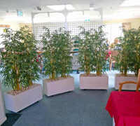 mobile Planters for Hospice