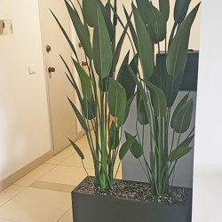 Trough Planters- with Bird-o-Paradise 1.75m tall  - artificial plants, flowers & trees - image 2