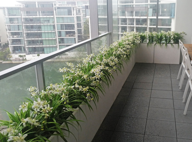 orchid planter privacy partitions