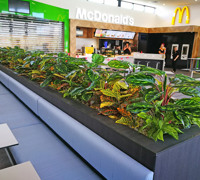 Planter-Box for fast-food mall