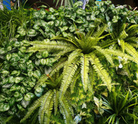 Artificial Green Walls- demountable panels for exhibition display