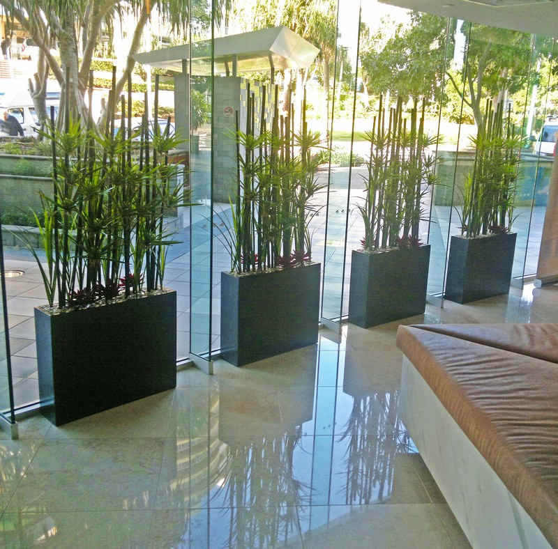 window planters give privacy to apartment foyer