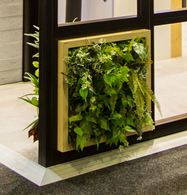 Double-sided green-wall panels custom made to fit display frames... image 4