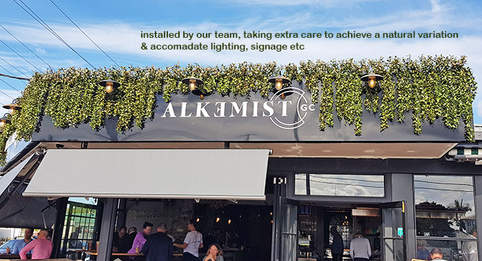 UV-treated artificial greenery softens Cafe facade & frames signage... image 9