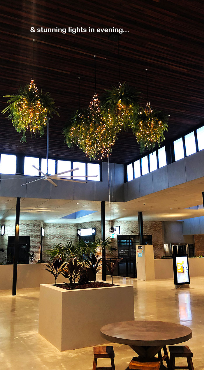 Lush green & dazzling lights- huge artificial hanging-baskets in shopping centre image 9