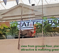 Greening-up a Cafe without losing floor space...