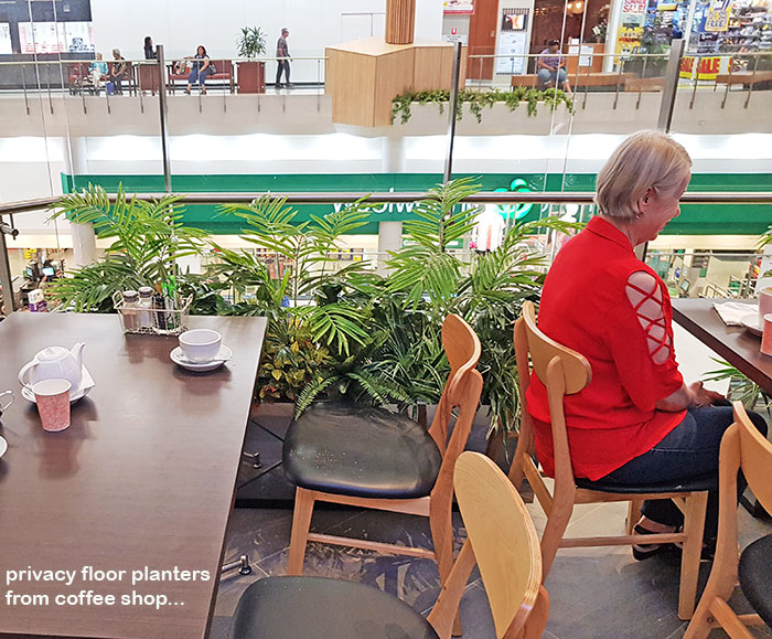 Greening-up a Cafe without losing floor space... image 4