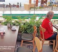 Greening-up a Cafe without losing floor space...