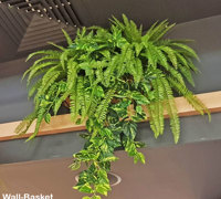 Greening-up a Cafe without losing floor space...