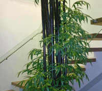 Multi-Story Head Office Fit-out