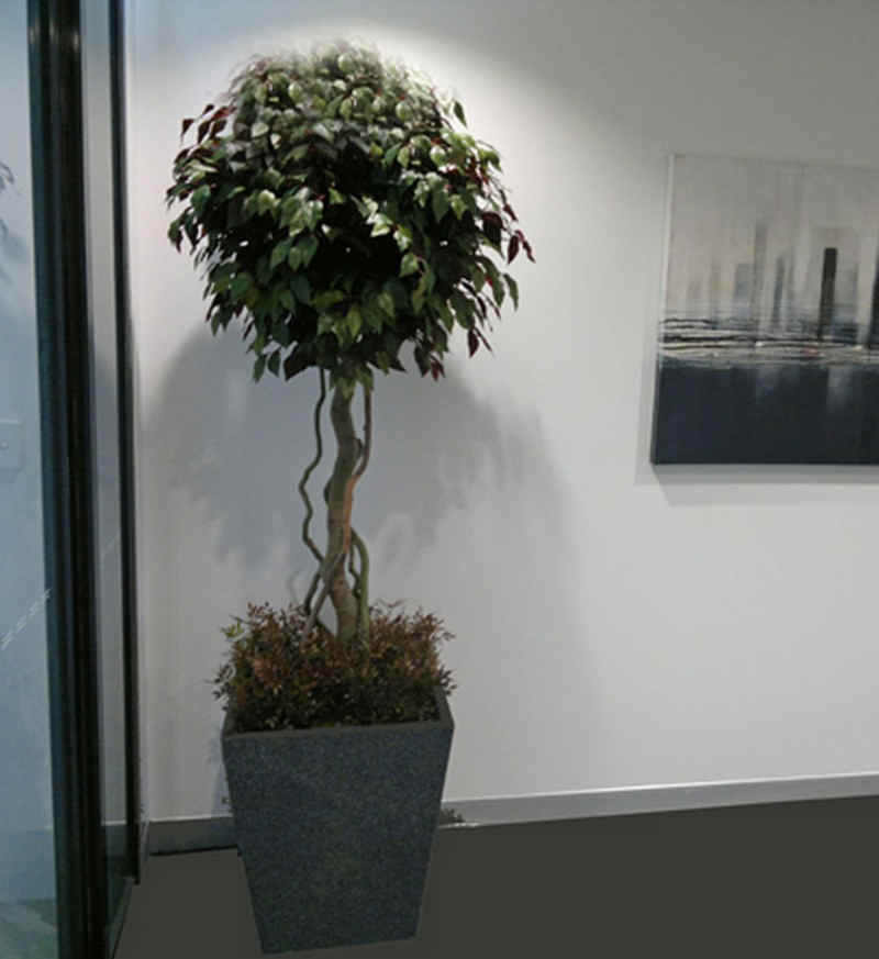 Multi-Story Head Office Fit-out image 6