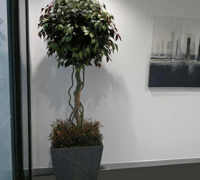 Multi-Story Head Office Fit-out