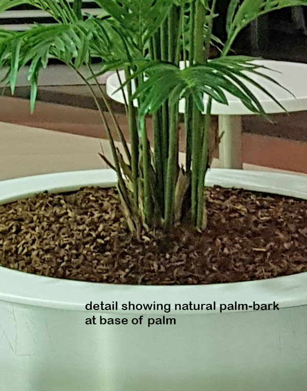 Tropical Palms in Shopping Mall eatery... image 5