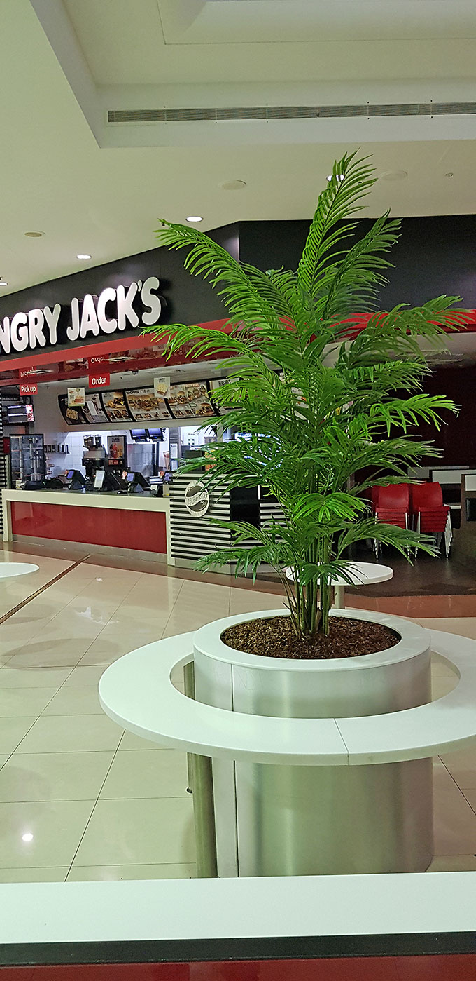 Tropical Palms in Shopping Mall eatery... image 6