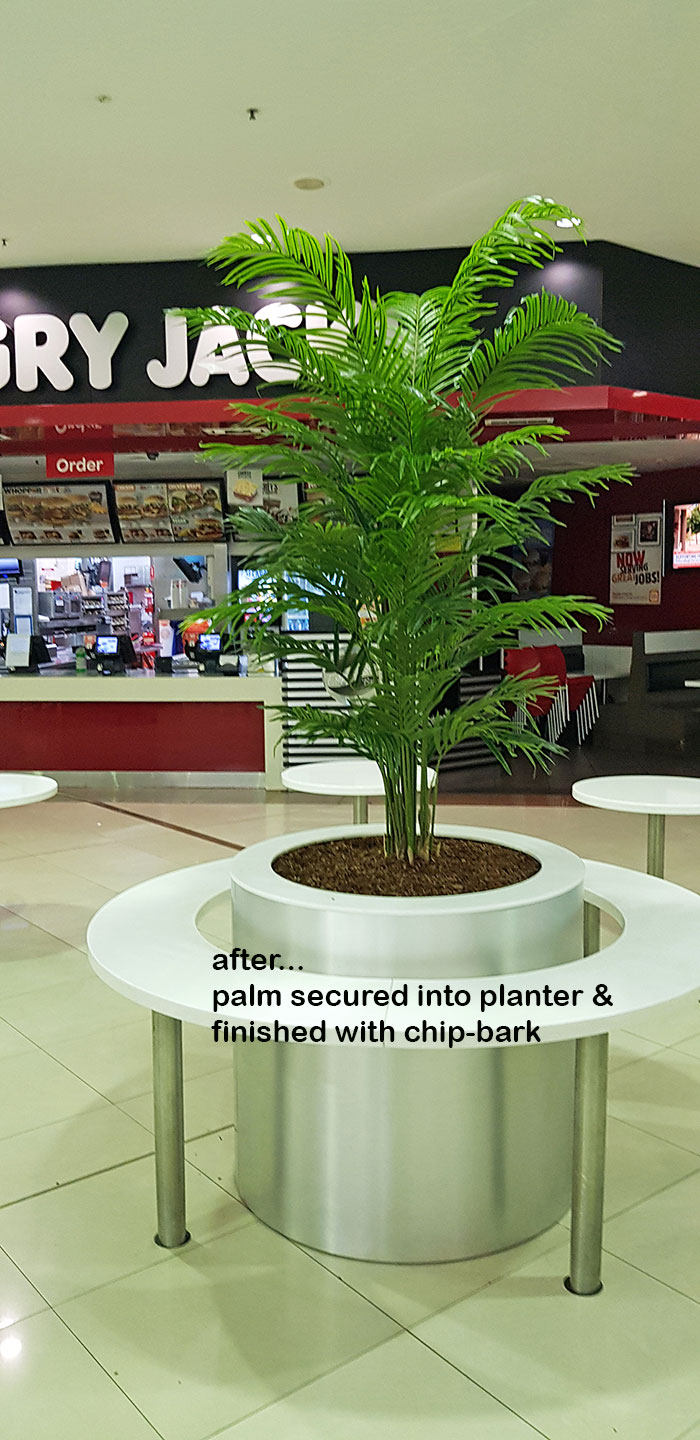 Tropical Palms in Shopping Mall eatery... image 4