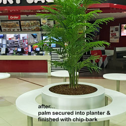 Areca Palm 2.1m - artificial plants, flowers & trees - image 4
