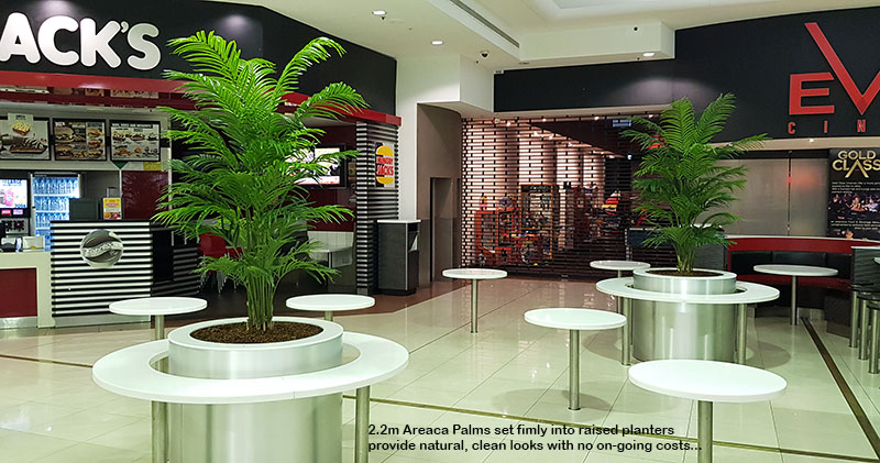 Tropical Palms in Shopping Mall eatery... image 2