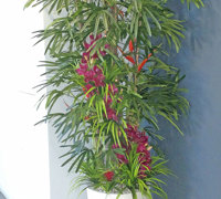 Tropical Resort Feel - adding vibrant colours with artificial plants...