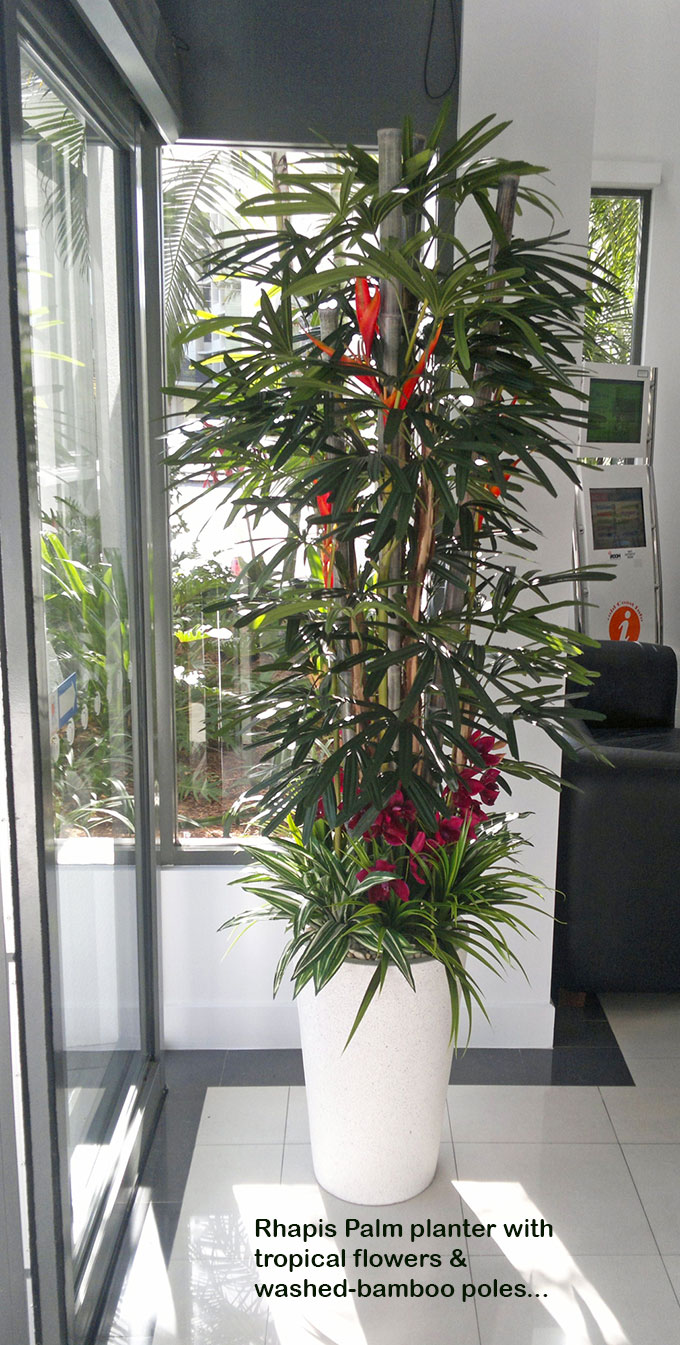 Tropical Resort Feel - adding vibrant colours with artificial plants... image 2