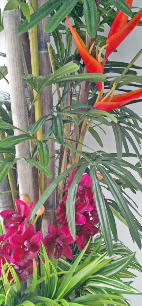 Tropical Resort Feel - adding vibrant colours with artificial plants... image 7