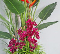 Tropical Resort Feel - adding vibrant colours with artificial plants...