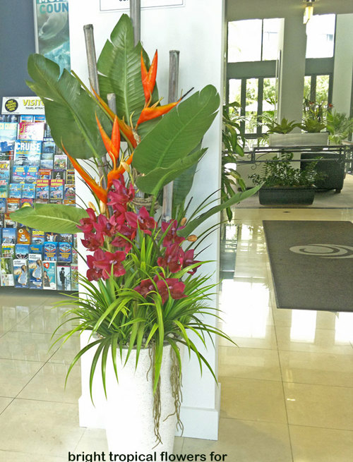 Tropical Resort Feel - adding vibrant colours with artificial plants...