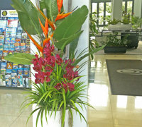 Tropical Resort Feel - adding vibrant colours with artificial plants...
