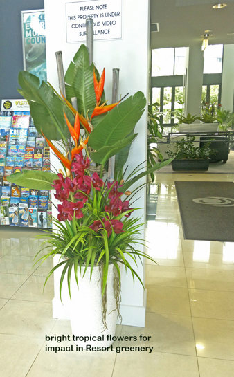 "Tropical Resort Feel"- adding vibrant colours with artificial plants...